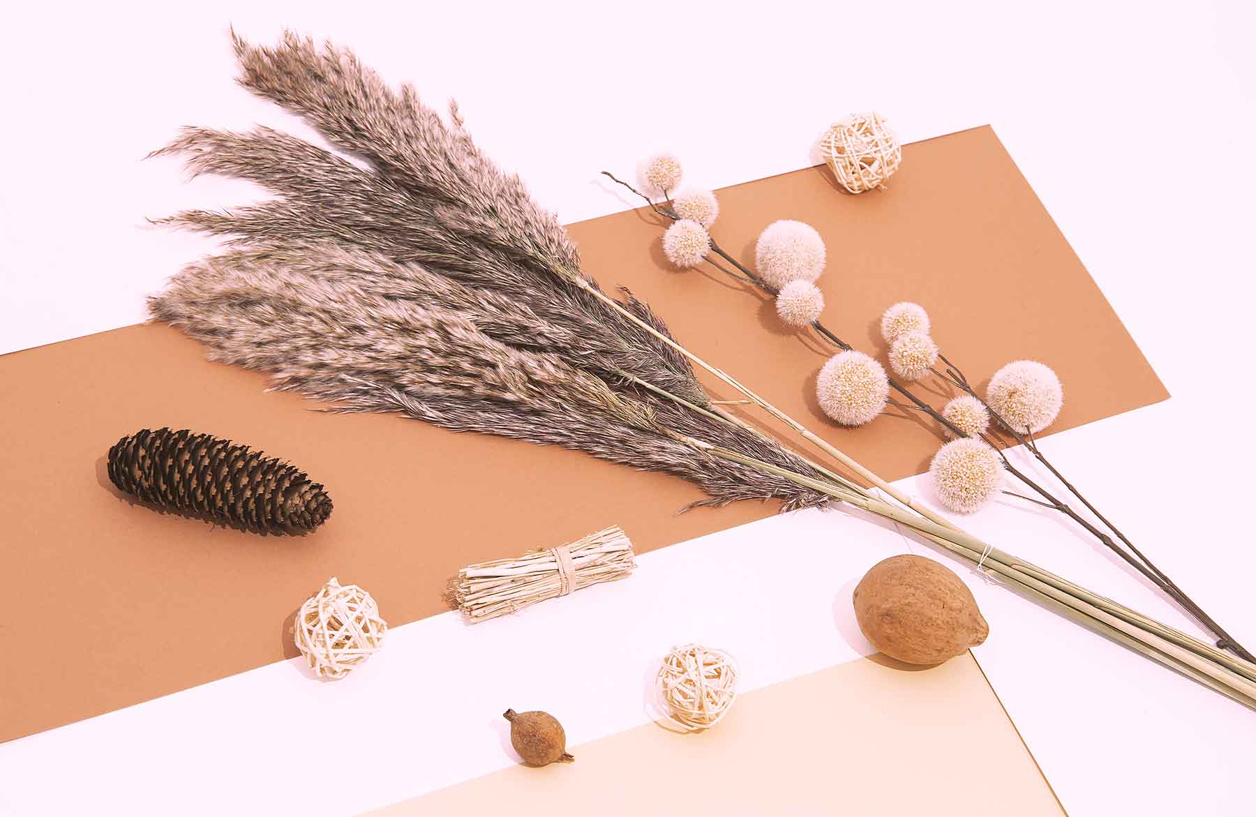 fall winter cozy background with plant autumn deco tq8bh85.jpg